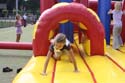 IMG_0868